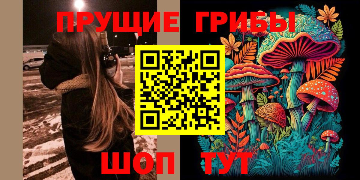 Озёры  Псилоцибиновые грибы мухоморы  Вход с VPN  Псилоцибиновые грибы Psilocybine cubensis 