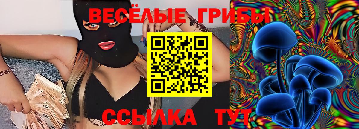 Галлюциногенные грибы Psilocybine cubensis Озёры